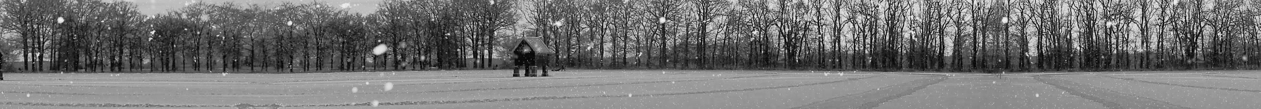 IJsclub schaatsafbeelding